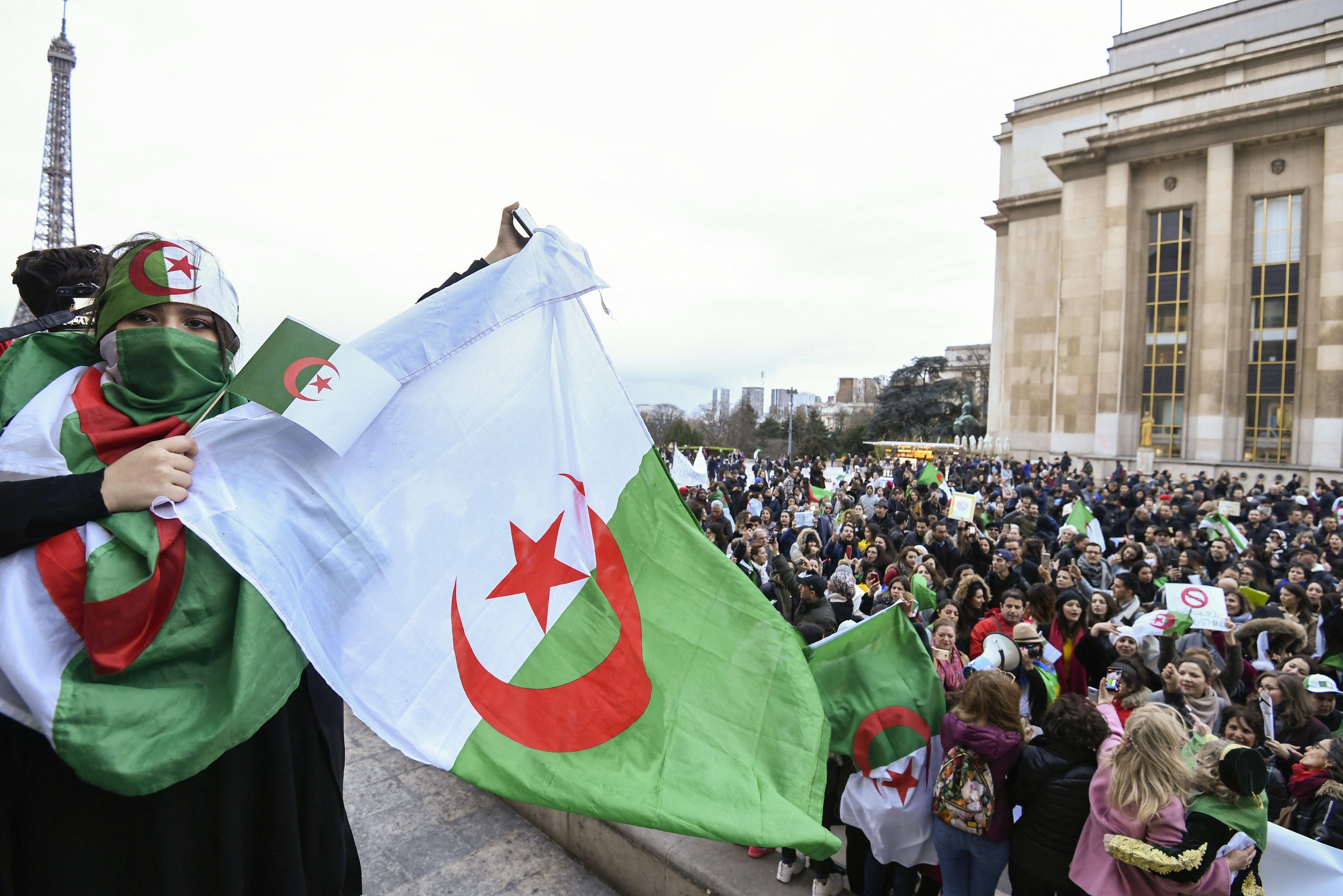 Потери франции в алжире