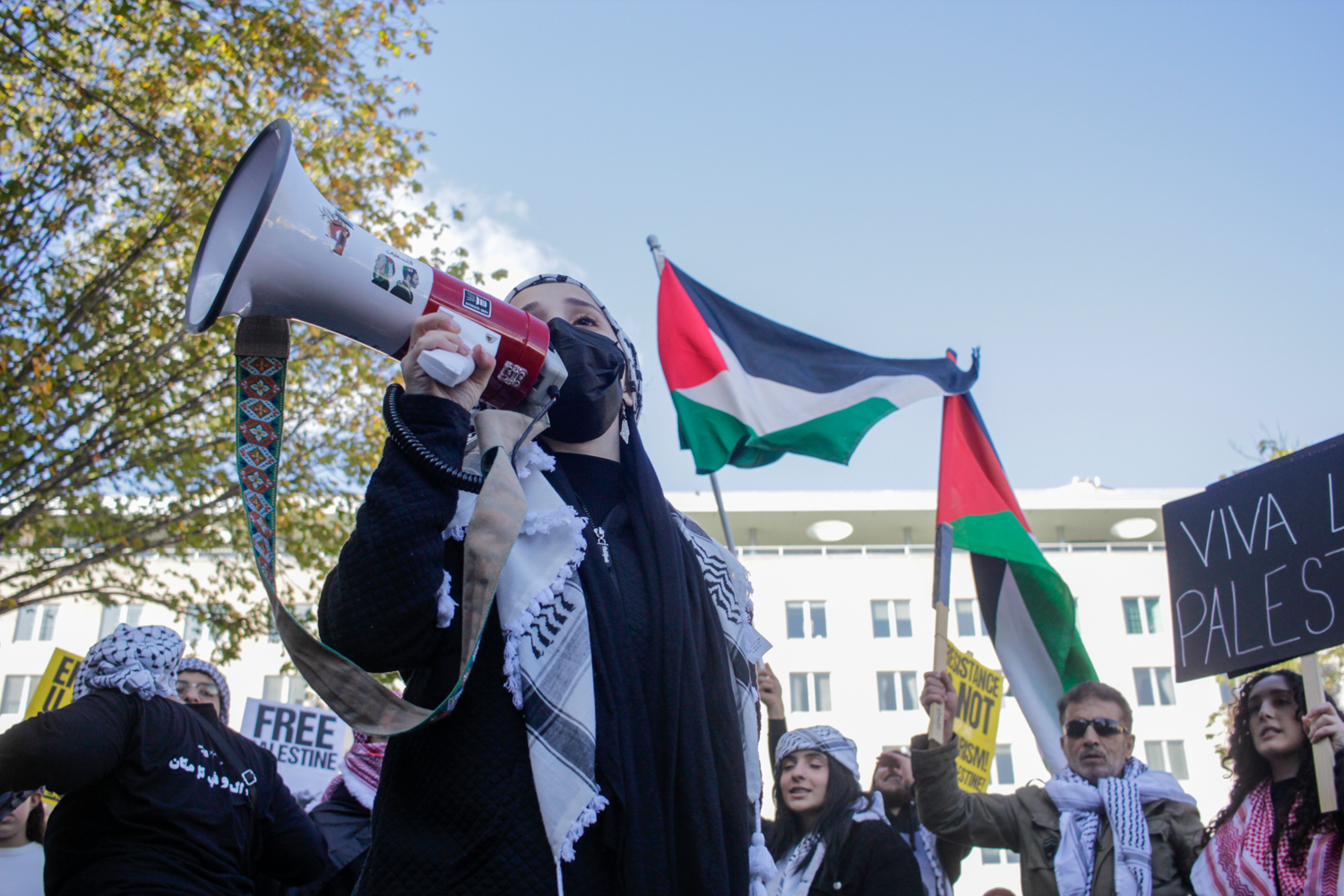 Hundreds gather near White House to support Palestinians
