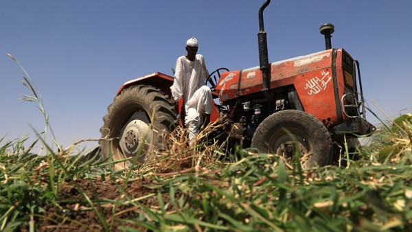 الحرب تدفع السودان إلى ظروف أشبه بالمجاعة “كارثية”.