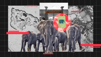 illustration-Namibia-elephants-header-2
