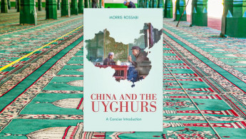China and the Uyghurs: A concise introduction