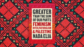 Greater Than the Sum of Our Parts: Feminism, Inter/Nationalism and Palestine