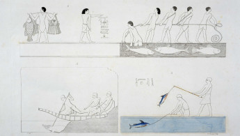 Depictions of ancient Egyptians fishing