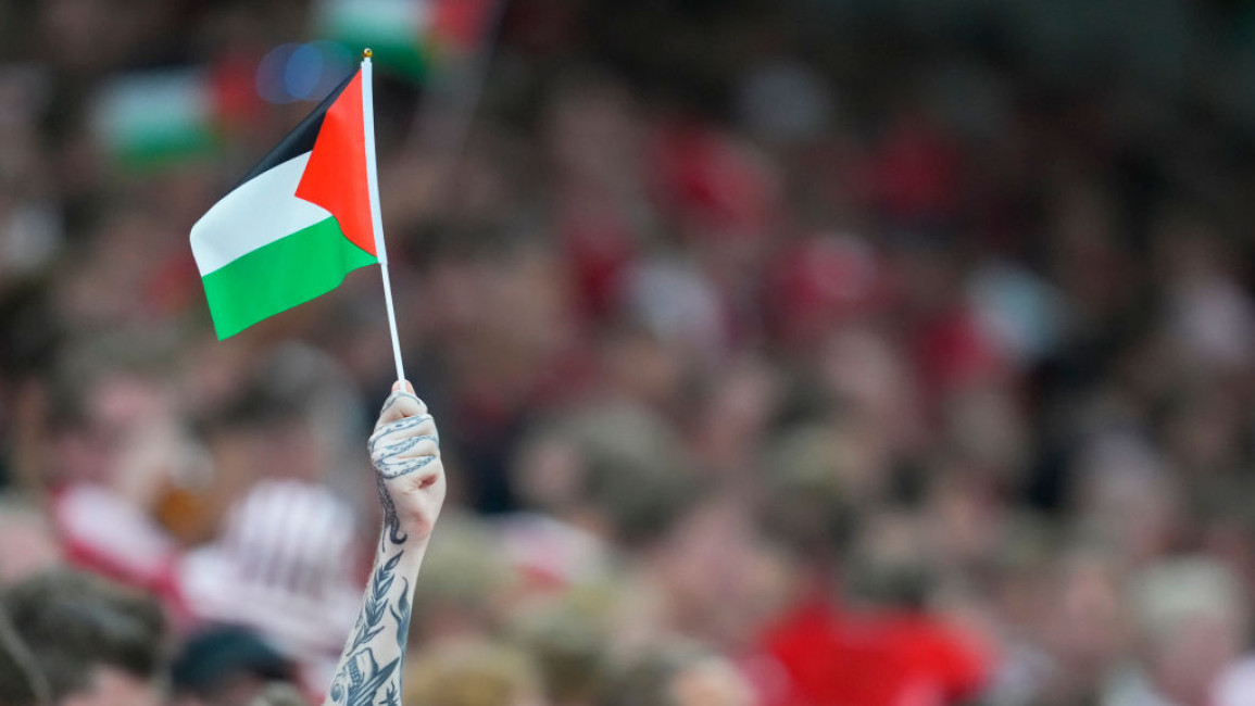Palestine Flag at World Cup