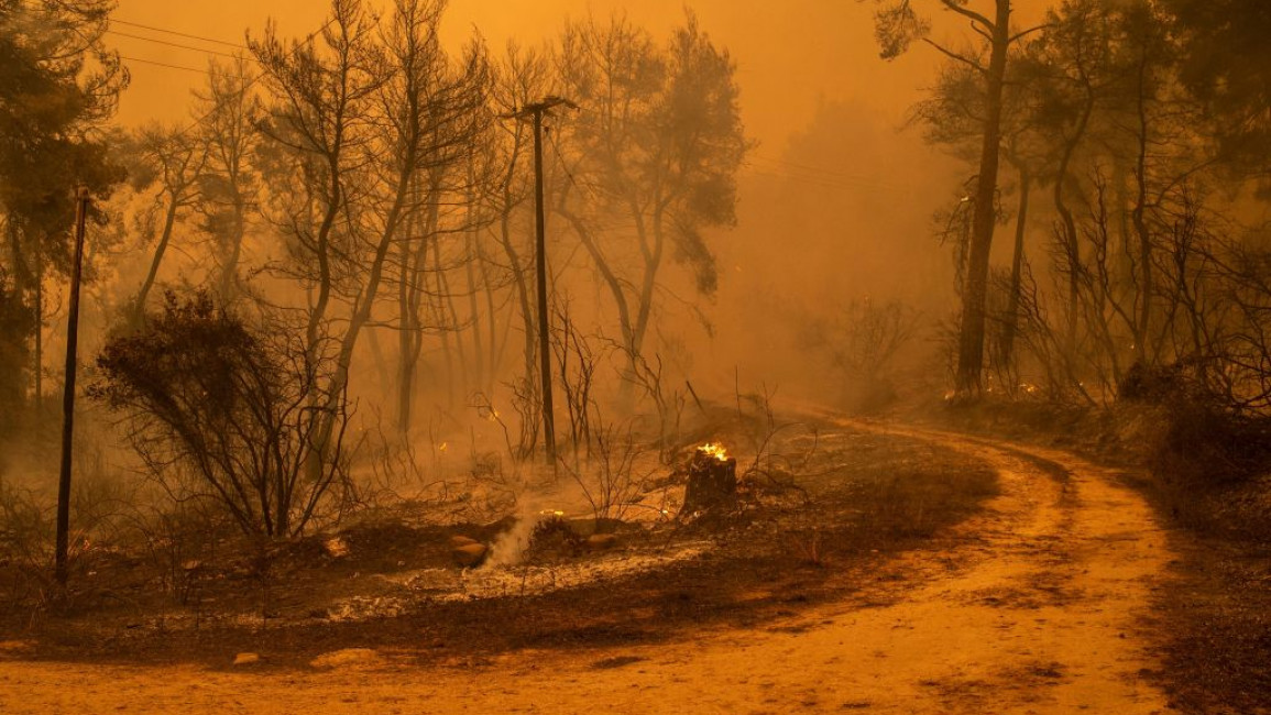 Recent wildfires in Greece and Turkey have been blamed on climate change [Getty]