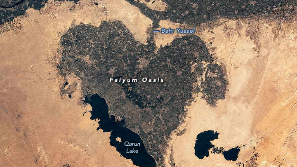 View of the heart-shaped oasis from space