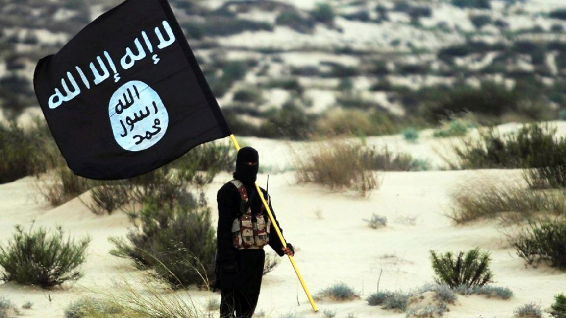 Islamic State group 