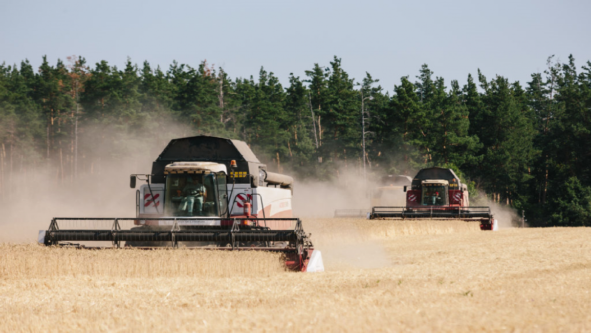 Ukraine grain harvest