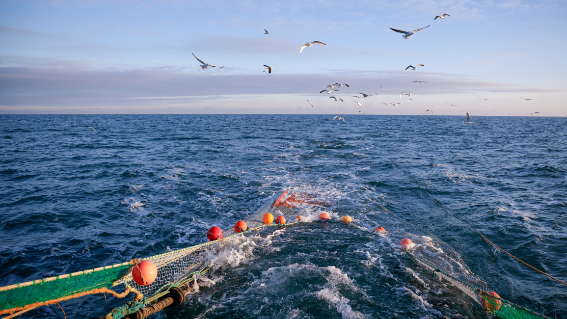 Birds fly above a fishing nets in the sea.