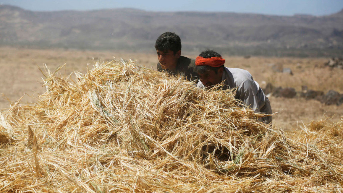 The Houthis have been accused of dispossessing Yemeni farmers [Getty File Image]