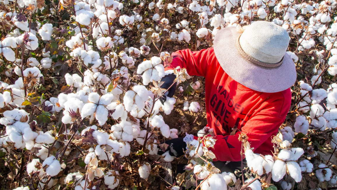 Uighur cotton farmer - Getty
