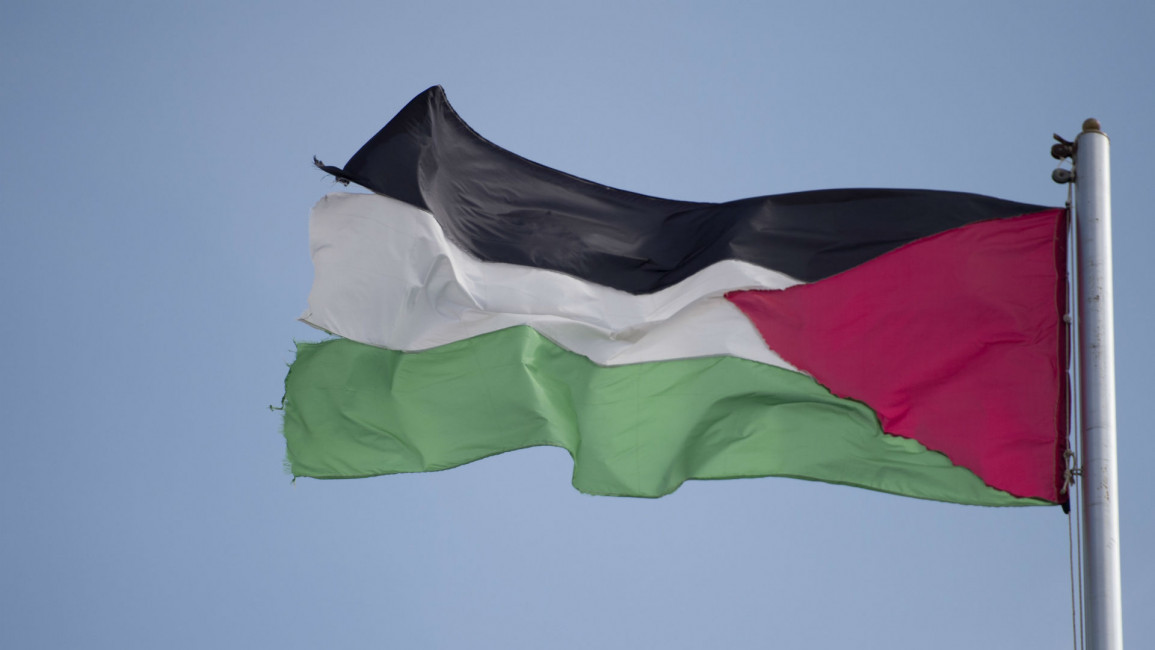 Palestine flag - Photothek