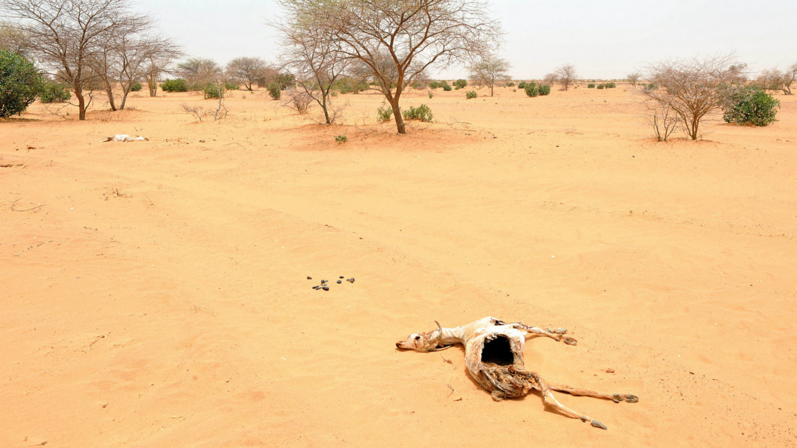 Sahel climate