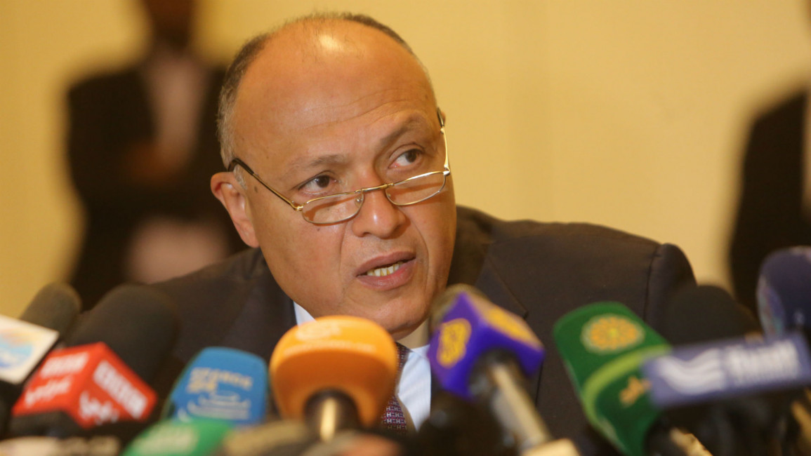 Foreign minister sameh shoukry [AFP]