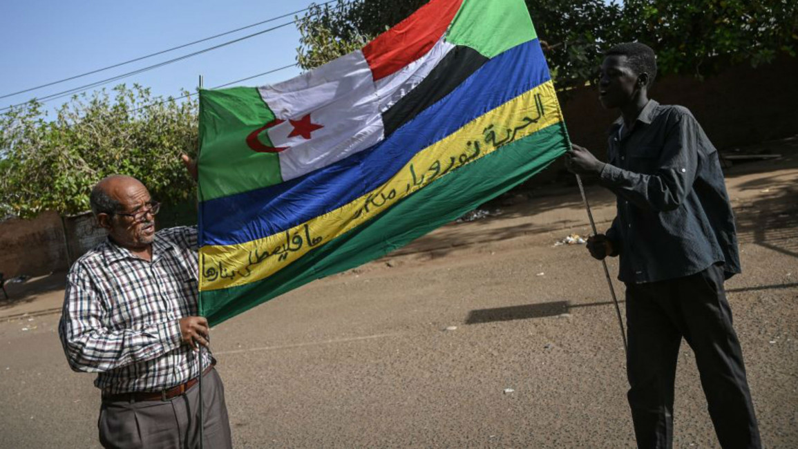 Algeria Sudan solidarity - AFP