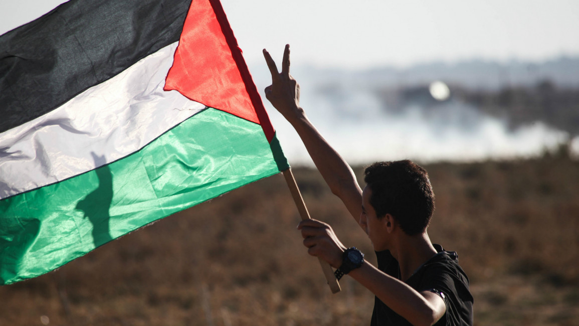 Palestine resistance