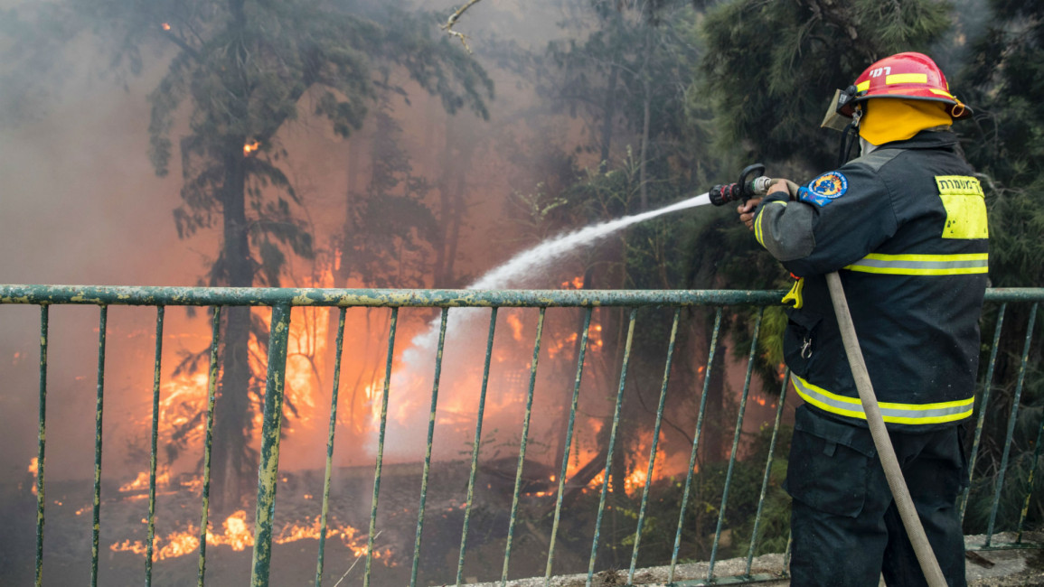 Israel wildfires [AFP]