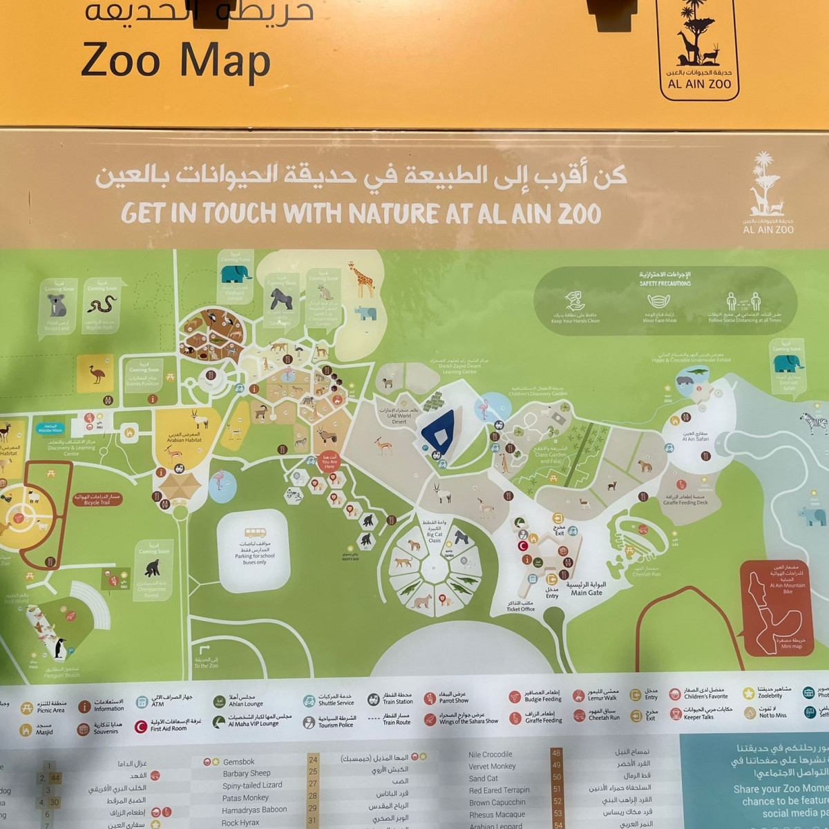 A site map at the Al Ain Zoo shows plans for the Elephant Safari as well as an additional Elephant Exhibit both 'coming soon'. [TNA]