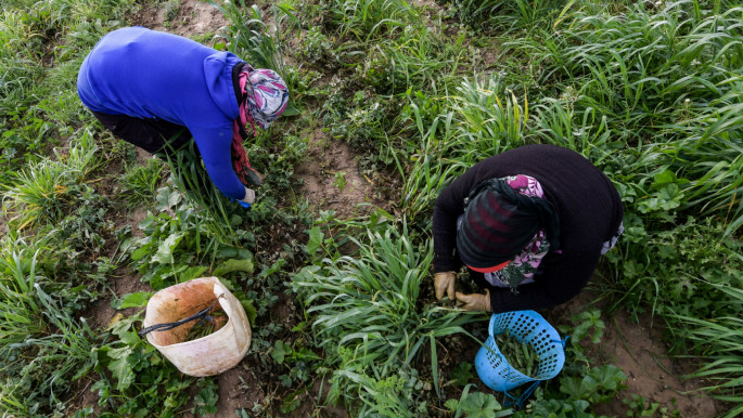 In rural Tunisia, inheritance reform offers women rare boost