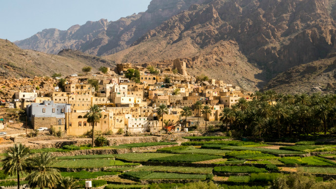 A green future: Oman blazes a trail for environmentalism in the Arab world